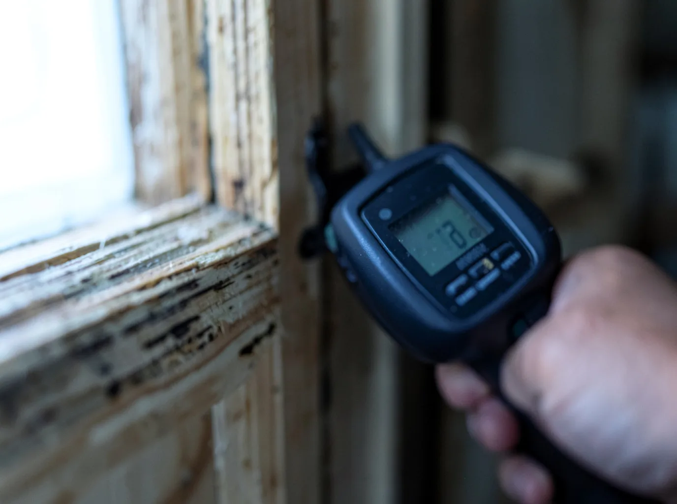 Commercial Water Damage Restoration in Wiggins, CO